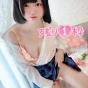 ヒメ日記 2026/02/18 08:19 投稿 みと 西船人妻花壇