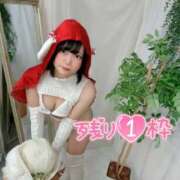 ヒメ日記 2026/02/24 14:05 投稿 みと 西船人妻花壇