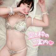 ヒメ日記 2026/02/24 21:51 投稿 みと 西船人妻花壇