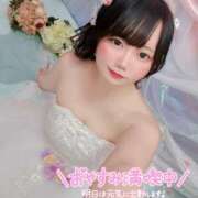 ヒメ日記 2026/02/26 18:21 投稿 みと 西船人妻花壇