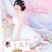 ヒメ日記 2026/03/09 11:57 投稿 みと 西船人妻花壇