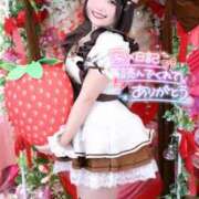 ヒメ日記 2026/03/16 07:50 投稿 みと 西船人妻花壇