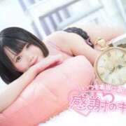 ヒメ日記 2026/03/30 11:28 投稿 みと 西船人妻花壇