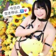 ヒメ日記 2026/04/17 08:10 投稿 みと 西船人妻花壇