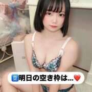 ヒメ日記 2026/04/20 17:52 投稿 みと 西船人妻花壇