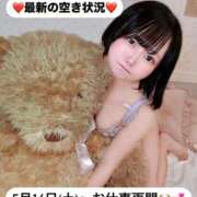 ヒメ日記 2026/05/12 12:16 投稿 みと 西船人妻花壇