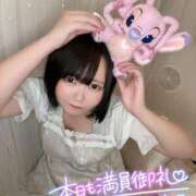 ヒメ日記 2026/08/12 18:20 投稿 みと 西船人妻花壇