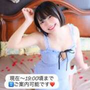 ヒメ日記 2026/08/21 15:42 投稿 みと 西船人妻花壇