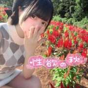 ヒメ日記 2026/09/01 06:38 投稿 みと 西船人妻花壇