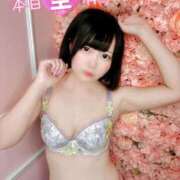 ヒメ日記 2026/09/11 08:33 投稿 みと 西船人妻花壇