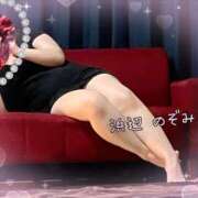 ヒメ日記 2025/04/16 20:18 投稿 浜辺のぞみ ワイフコレクション