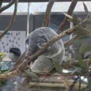 ヒメ日記 2026/02/22 19:51 投稿 ゆうな 若妻淫乱倶楽部 久喜店