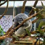 ヒメ日記 2026/02/22 20:02 投稿 ゆうな 若妻淫乱倶楽部 久喜店