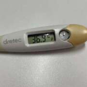 ヒメ日記 2025/03/19 15:18 投稿 ミイ(奥方) 奥様幕府