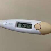 ヒメ日記 2025/03/20 15:07 投稿 ミイ(奥方) 奥様幕府