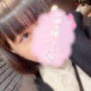 ヒメ日記 2025/03/23 19:17 投稿 ミイ(奥方) 奥様幕府