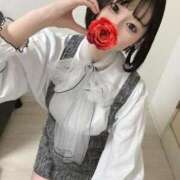 ヒメ日記 2025/04/04 08:03 投稿 ともか【文系美女の神ボディ】 STELLA NEXT－ステラネクスト－