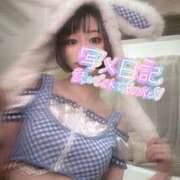 ヒメ日記 2025/06/29 15:23 投稿 ともか【文系美女の神ボディ】 STELLA NEXT－ステラネクスト－