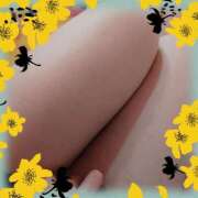 えり 半分くらい ミラー