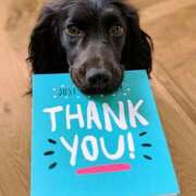 ヒメ日記 2025/07/27 18:12 投稿 みれい マダム西船橋