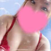 ヒメ日記 2025/05/17 19:01 投稿 こすもす サティアンまーと