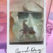 ヒメ日記 2025/07/18 23:05 投稿 桜井なごみ 五十路マダム 沼津店(カサブランカグループ)