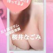 ヒメ日記 2025/08/19 07:33 投稿 桜井なごみ 五十路マダム 沼津店(カサブランカグループ)