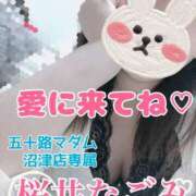 ヒメ日記 2025/09/14 10:55 投稿 桜井なごみ 五十路マダム 沼津店(カサブランカグループ)