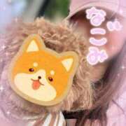 ヒメ日記 2025/11/18 09:39 投稿 桜井なごみ 五十路マダム 沼津店(カサブランカグループ)