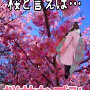 ヒメ日記 2026/02/19 18:17 投稿 桜井なごみ 五十路マダム 沼津店(カサブランカグループ)