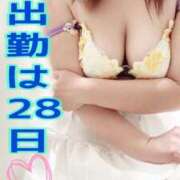 ヒメ日記 2026/03/19 17:27 投稿 桜井なごみ 五十路マダム 沼津店(カサブランカグループ)