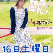 ヒメ日記 2026/05/15 14:23 投稿 桜井なごみ 五十路マダム 沼津店(カサブランカグループ)