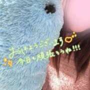 ヒメ日記 2026/09/06 08:57 投稿 桜井なごみ 五十路マダム 沼津店(カサブランカグループ)