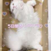 ヒメ日記 2025/07/24 07:03 投稿 ひめな シンデレラ【平均年齢20才、風俗未経験の娘が8割以上】