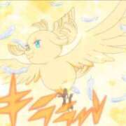 ヒメ日記 2025/09/16 12:09 投稿 ひめな シンデレラ【平均年齢20才、風俗未経験の娘が8割以上】