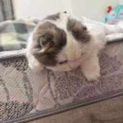 ヒメ日記 2025/10/09 18:06 投稿 ひめな シンデレラ【平均年齢20才、風俗未経験の娘が8割以上】