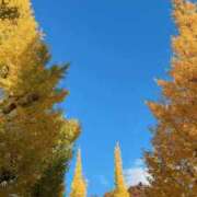 ヒメ日記 2025/11/20 02:03 投稿 ひめな シンデレラ【平均年齢20才、風俗未経験の娘が8割以上】