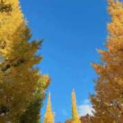 ヒメ日記 2025/12/01 02:03 投稿 ひめな シンデレラ【平均年齢20才、風俗未経験の娘が8割以上】