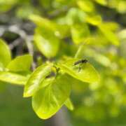 ヒメ日記 2025/05/03 10:55 投稿 森山もえ 五十路マダム 沼津店(カサブランカグループ)