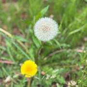 ヒメ日記 2025/05/29 14:09 投稿 森山もえ 五十路マダム 沼津店(カサブランカグループ)