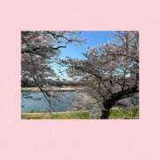 ヒメ日記 2025/03/30 06:40 投稿 えみり Ｓ＆Ｍ　極嬢