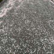 ヒメ日記 2025/04/12 19:50 投稿 えみり Ｓ＆Ｍ　極嬢