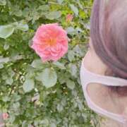 ヒメ日記 2025/05/01 18:00 投稿 えみり Ｓ＆Ｍ　極嬢