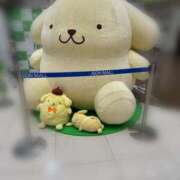 ヒメ日記 2025/05/11 23:20 投稿 えみり Ｓ＆Ｍ　極嬢