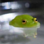 ヒメ日記 2025/06/10 05:50 投稿 えみり Ｓ＆Ｍ　極嬢