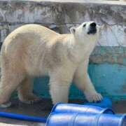 ヒメ日記 2025/06/26 06:10 投稿 えみり Ｓ＆Ｍ　極嬢