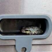 ヒメ日記 2025/07/22 18:30 投稿 えみり Ｓ＆Ｍ　極嬢