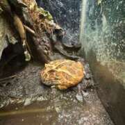 ヒメ日記 2025/09/24 23:30 投稿 えみり Ｓ＆Ｍ極嬢