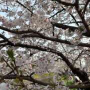 えみり 274:予感 Ｓ＆Ｍ極嬢