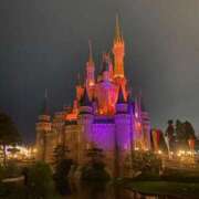 ヒメ日記 2025/10/22 20:03 投稿 いちか まつど女学園